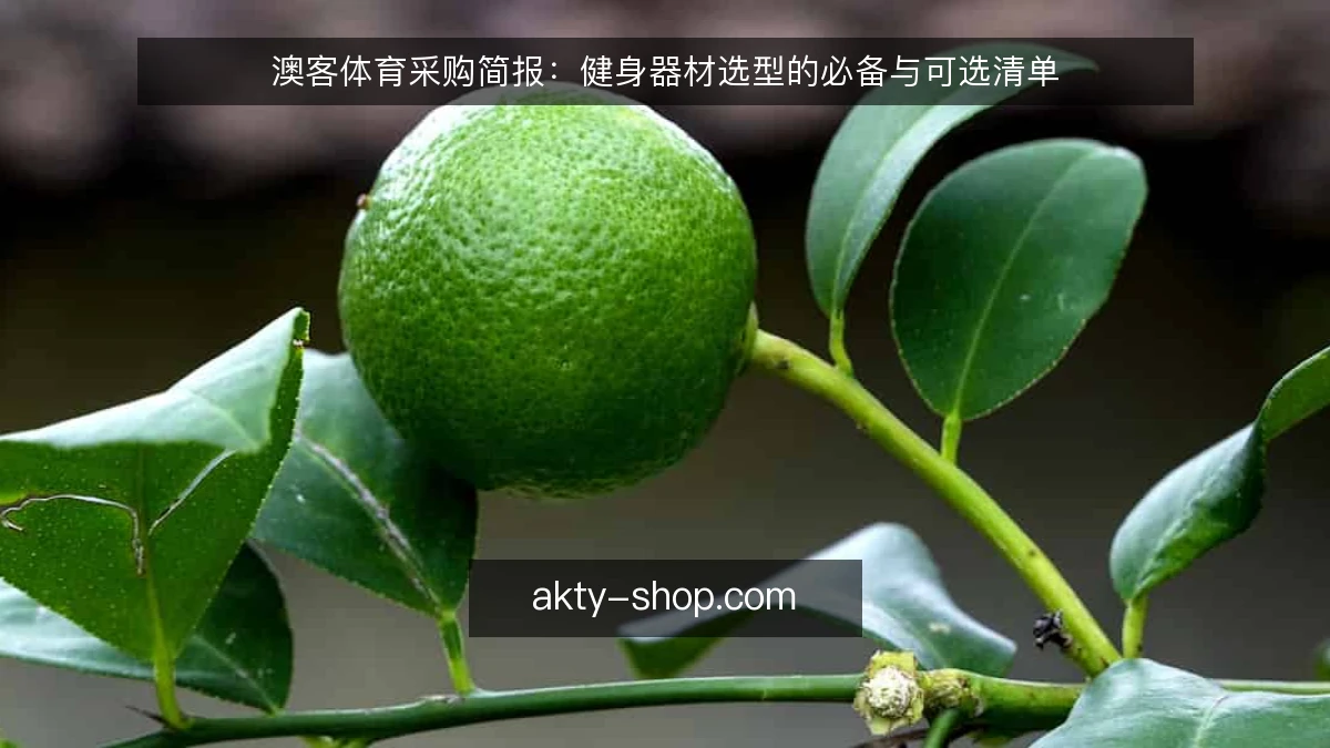 澳客体育采购简报:健身器材选型的必备与可选清单